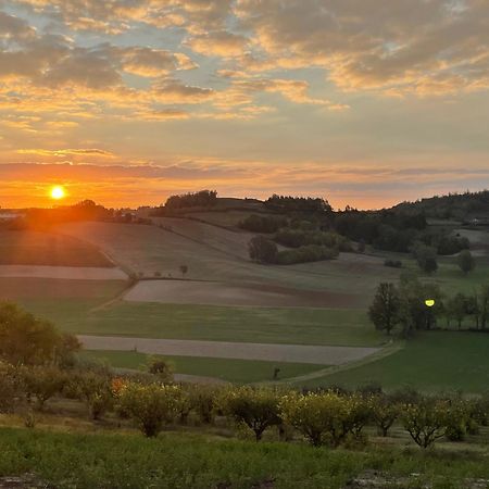 Azienda Agricola Tenuta Del Barone Calliano  Luaran gambar