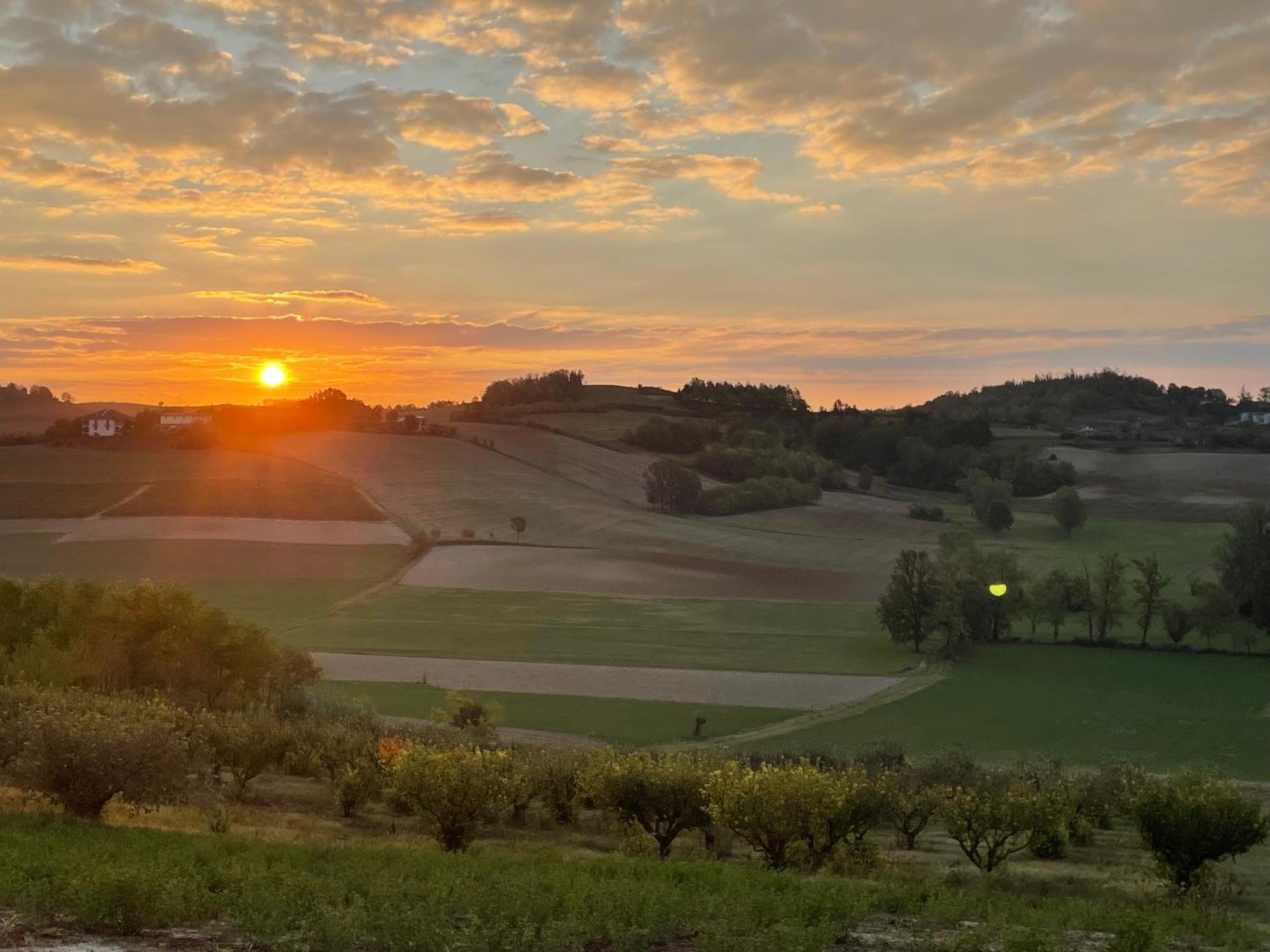 Azienda Agricola Tenuta Del Barone Calliano  Luaran gambar