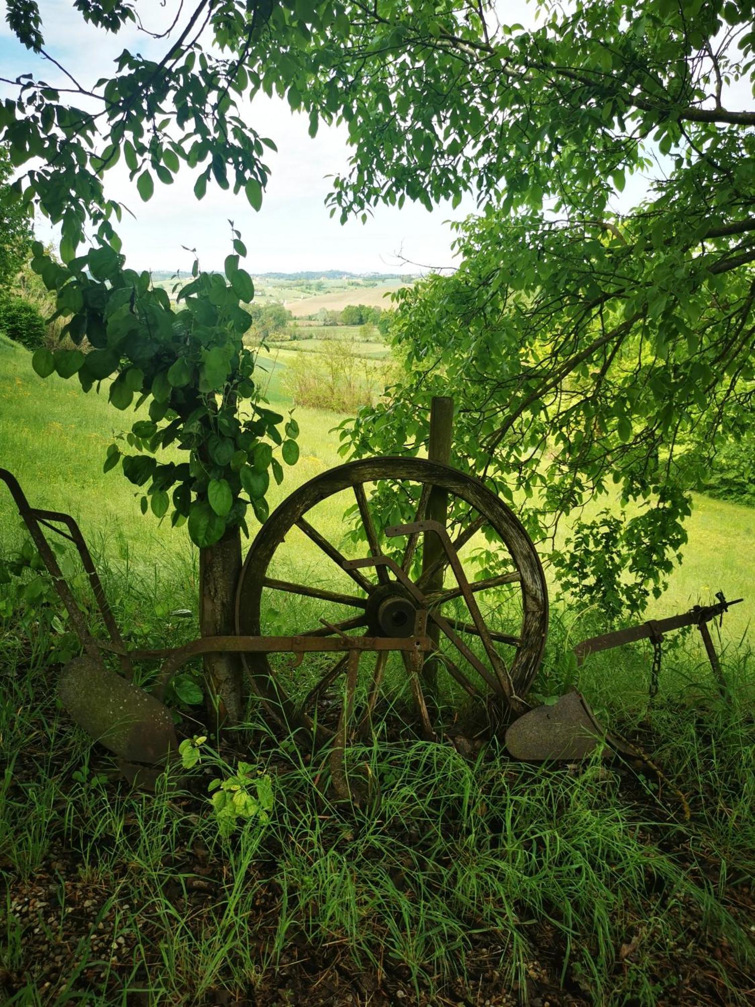 Azienda Agricola Tenuta Del Barone Calliano  Luaran gambar